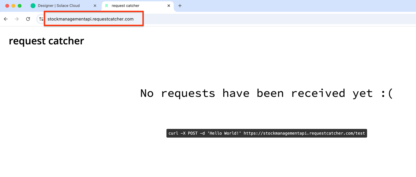 request-catcher-endpoint.png